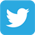 twitter-icon